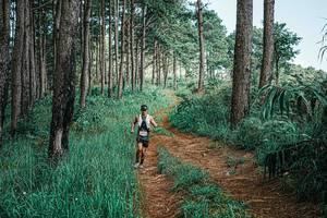 BIB: 
                            <button type="button" onclick="openModal(25679596)" class="btn btn-primary btn-sm float-right btn-popup" data-toggle="modal" data-target=".modal-high-quality">
                        <i class="fas fa-shopping-cart"></i> Add to Cart
                    </button>
                                            <button type="button" onclick="isThisMe(25679596, true)" class="btn btn-success btn-sm float-right btn-popup btn-isme hidden" data-toggle="tooltip" data-placement="bottom" title="นี่คือรูปของคุณใช่ไหม คลิกที่นี่เพื่อเอาเข้าอัลบั้ม">
                        <i class="fas fa-plus"></i> Add to album
                    </button>
                    <button type="button" onclick="isThisMe(25679596, false)" class="btn btn-warning btn-sm float-right btn-popup btn-isnotme hidden">
                        <i class="fas fa-ban"></i> Remove from album
                    </button>